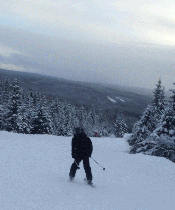 Skiën.gif